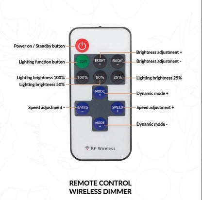 $1.3M Praga Bohema – Luxury Acrylic Neon Poster